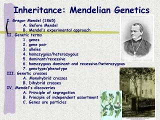 Legacy: Mendelian Hereditary qualities