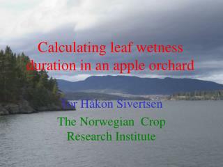 Computing leaf wetness term in an apple plantation