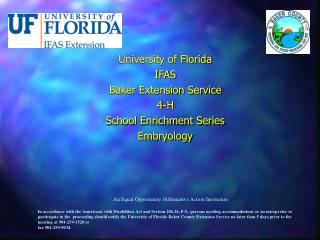 College of Florida IFAS Pastry specialist Expansion Administration 4-H School Improvement Arrangement Embryology