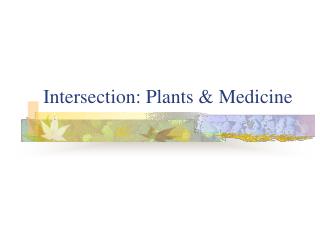 Crossing point: Plants and Medication