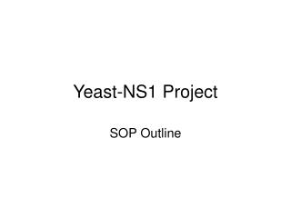 Yeast-NS1 Venture