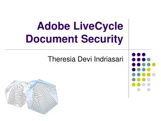 Adobe LiveCycle Record Security