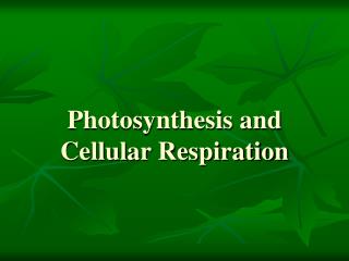 Photosynthesis and Cell Breath