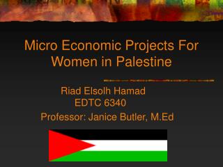 Small scale Financial Ventures For Ladies in Palestine