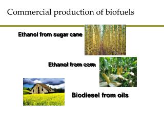 Business generation of biofuels