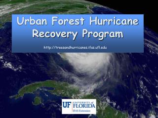 Urban Woodland Storm Recuperation Program