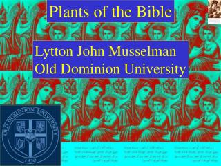 Plants of the Book of scriptures