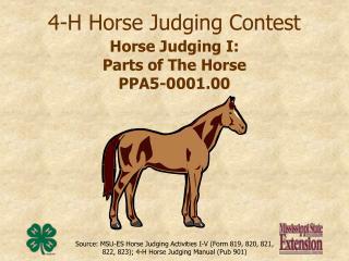 4-H Horse Judging Challenge