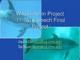 Wild Dolphin Venture 11-751 Discourse Last Venture