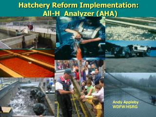  Incubation facility Reform Implementation: All-H Analyzer AHA 