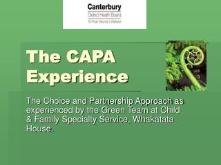  The CAPA Experience 