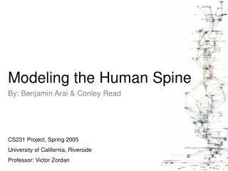  Displaying the Human Spine 