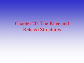  Section 20: The Knee and Related Structures 