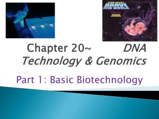  Part 20 DNA Technology Genomics 