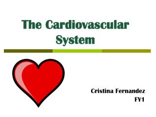  The Cardiovascular System 