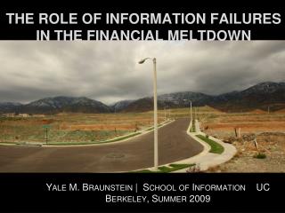  THE ROLE OF INFORMATION FAILURES IN THE FINANCIAL MELTDOWN 