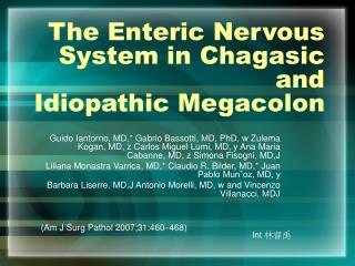  The Enteric Nervous System in Chagasic and Idiopathic Megacolon 