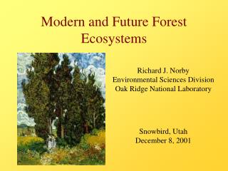  Cutting edge and Future Forest Ecosystems 