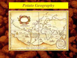  Potato Geography 