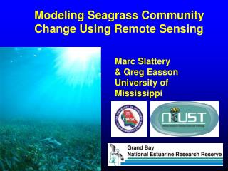  Displaying Seagrass Community Change Using Remote Sensing 