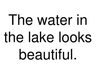  The water in the lake looks excellent. 