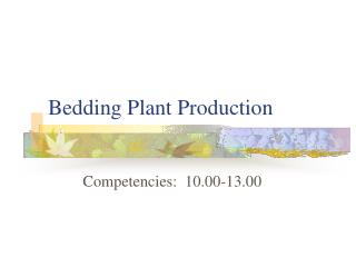  Bedding Plant Production 