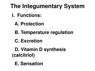  The Integumentary System 