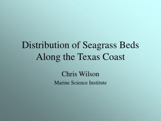 Dissemination of Seagrass Beds Along the Texas Coast 