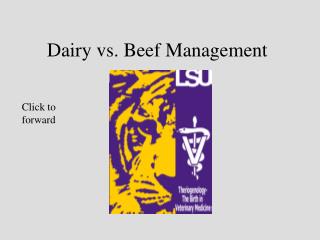  Dairy versus Hamburger Management 