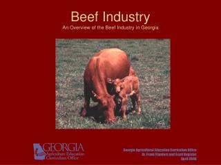  Hamburger Industry An Overview of the Beef Industry in Georgia 
