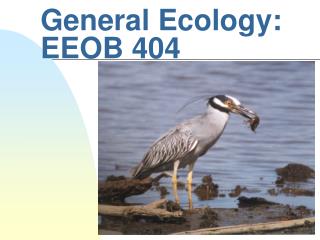  General Ecology: EEOB 404 