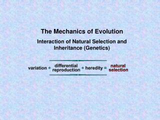  The Mechanics of Evolution Interaction of Natural Selection and Inheritance Genetics 