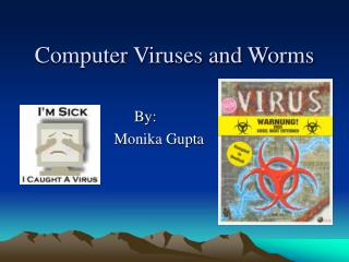  PC Viruses and Worms 