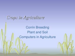  Crops in Agriculture 