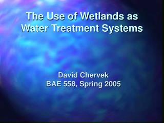  The Use of Wetlands as Water Treatment Systems 