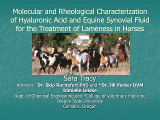  Sub-atomic and Rheological Characterization of Hyaluronic Acid and Equine Synovial Fluid for the Treatment of Lameness 