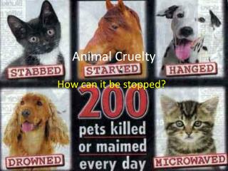  Creature Cruelty 