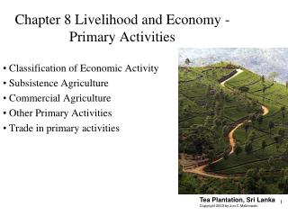  Section 8 Livelihood and Economy - Primary Activities 