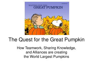  The Quest for the Great Pumpkin 