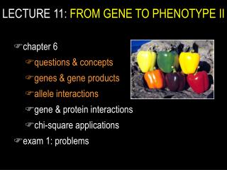  Address 11: FROM GENE TO PHENOTYPE II 