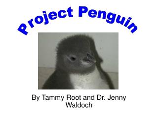  By Tammy Root and Dr. Jenny Waldoch 