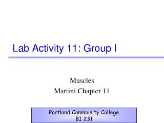  Lab Activity 11: Group I 
