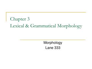  Section 3 Lexical Grammatical Morphology 