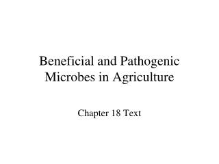  Helpful and Pathogenic Microbes in Agriculture 