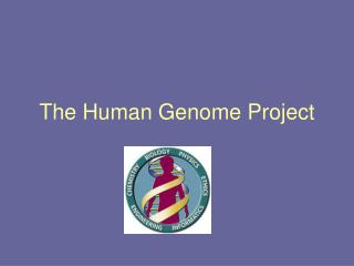  The Human Genome Project 