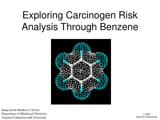  Investigating Carcinogen Risk Analysis Through Benzene 