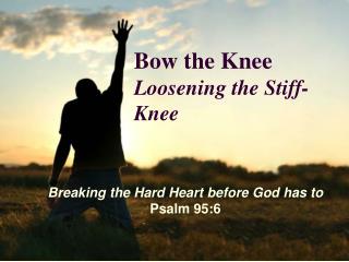  Bow the Knee Loosening the Stiff-Knee 