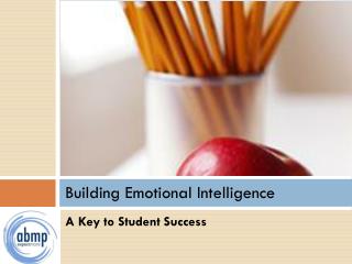  Building Emotional Intelligence 