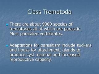 Class Trematoda 
