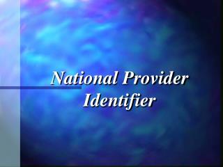  National Provider Identifier 